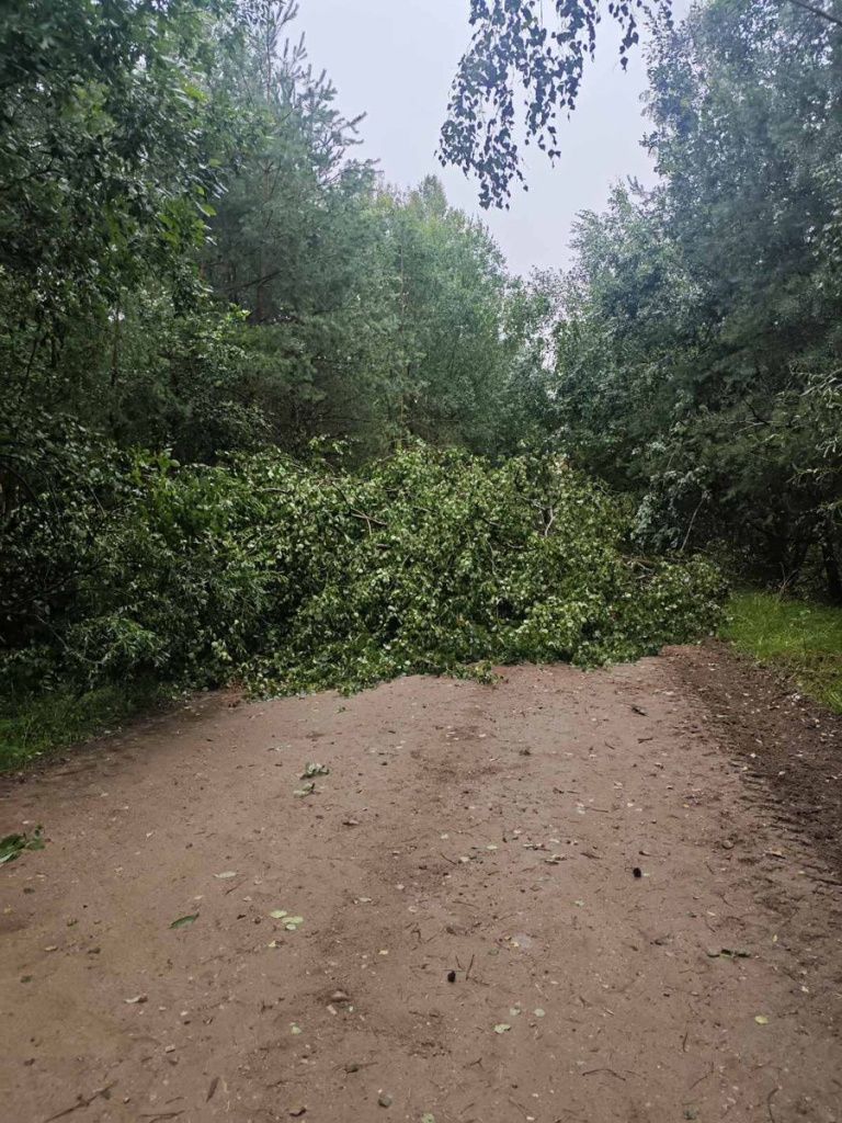 изображение_viber_2026-07-27_17-01-16-649.jpg