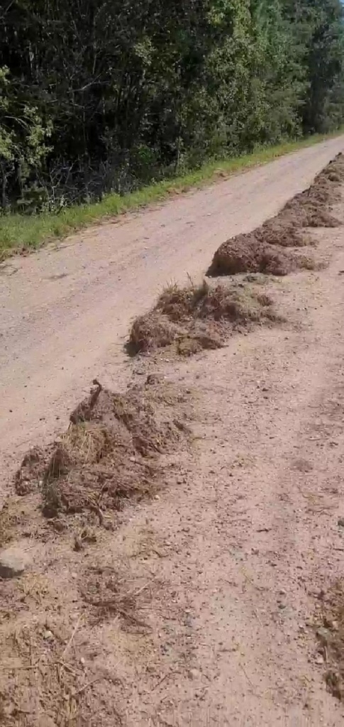 изображение_viber_2022-07-06_19-16-49-608.jpg изображение_viber_2022-07-06_19-16-49-608.jpg