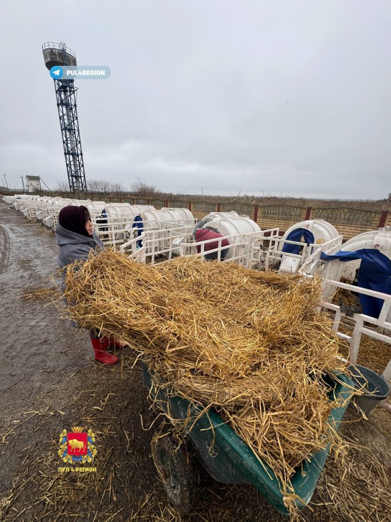 photo_2025-12-07_16-52-13.jpg photo_2025-12-07_16-52-13.jpg