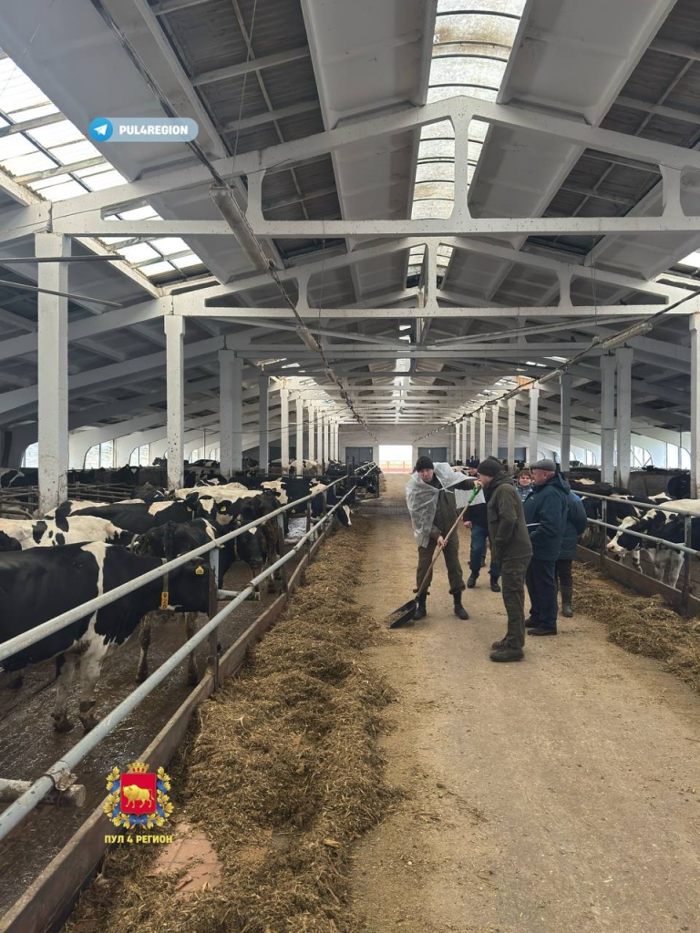 photo_2025-12-07_16-52-07.jpg photo_2025-12-07_16-52-07.jpg