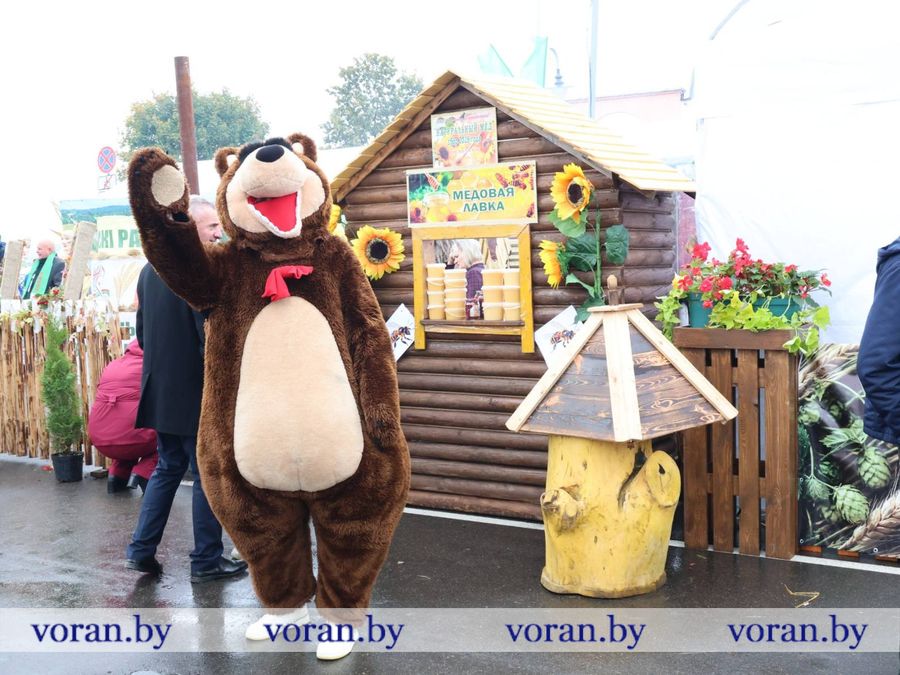 изображение_viber_2026-09-26_11-56-04-220.jpg