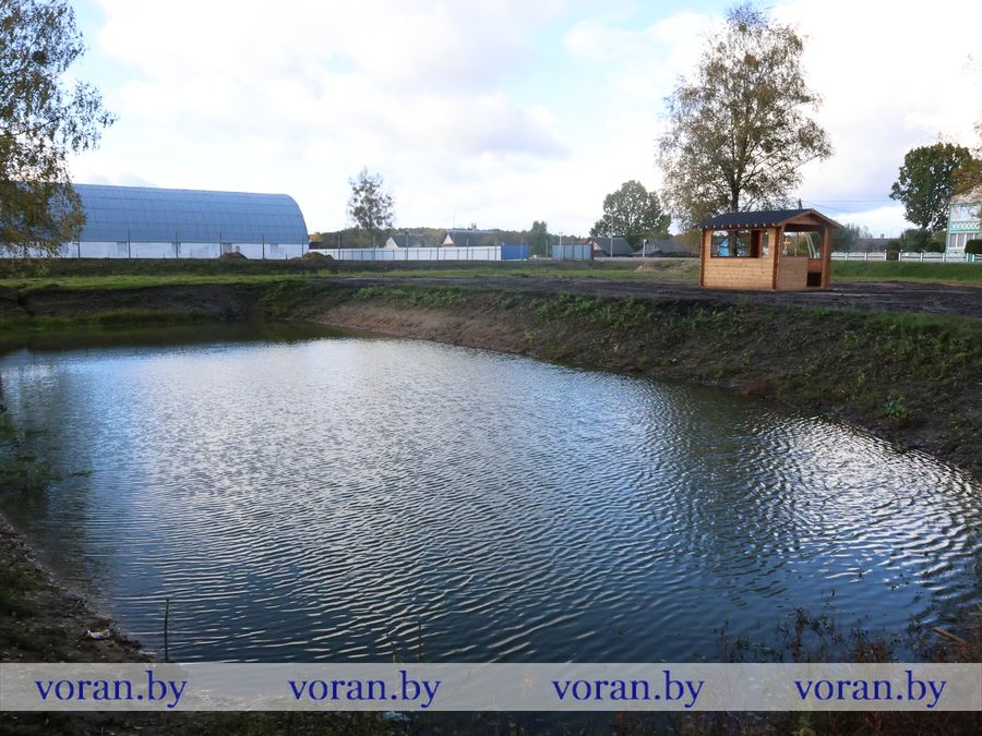 2F1A8228.JPG