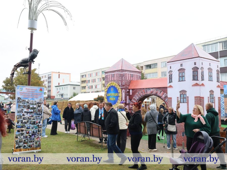 изображение_viber_2026-09-26_12-06-59-402.jpg
