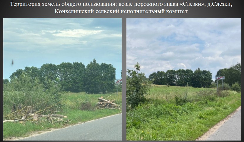 Слезки.jpg Слезки.jpg