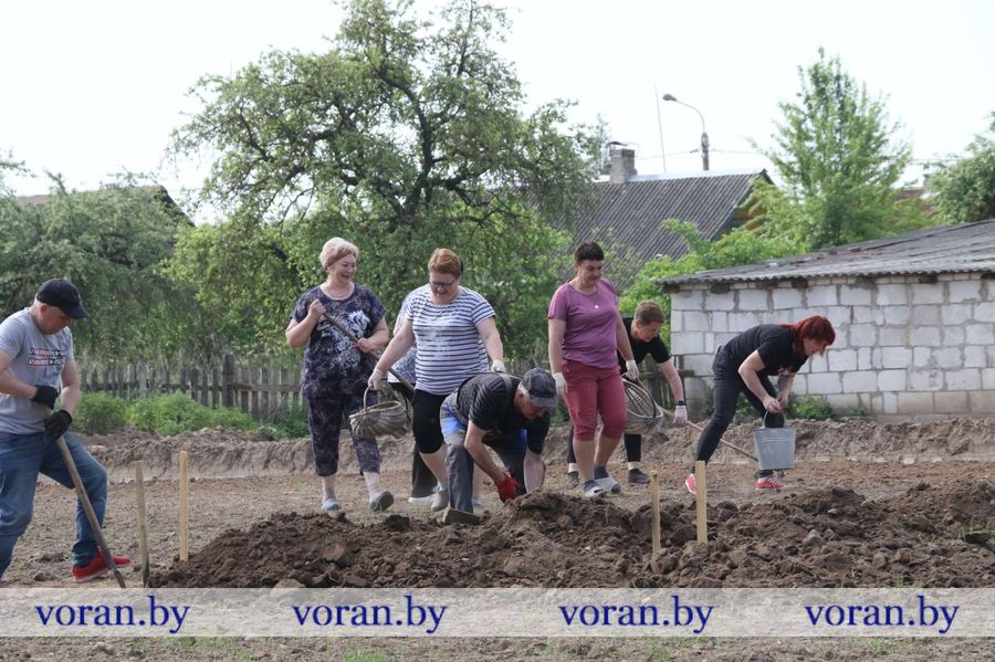 изображение_viber_2024-05-18_13-28-56-836.jpg изображение_viber_2024-05-18_13-28-56-836.jpg