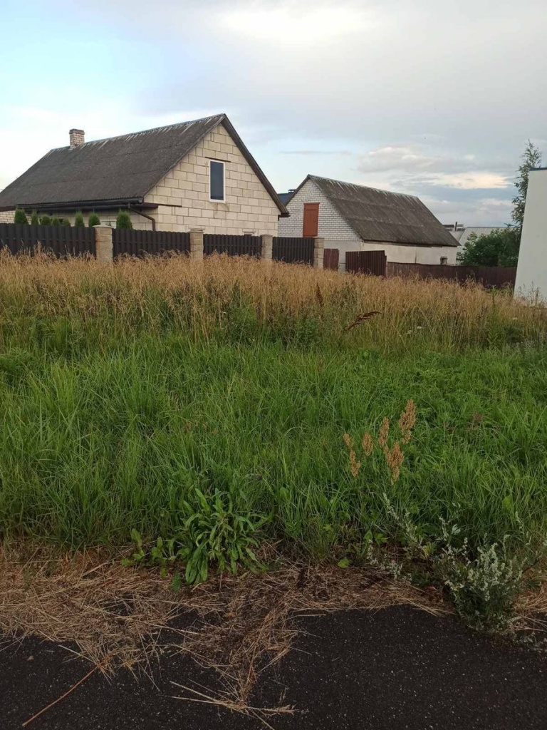 изображение_viber_2023-08-14_11-53-20-601.jpg изображение_viber_2023-08-14_11-53-20-601.jpg