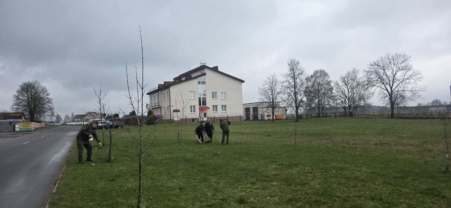 photo_2026-04-17_16-53-45 (3).jpg