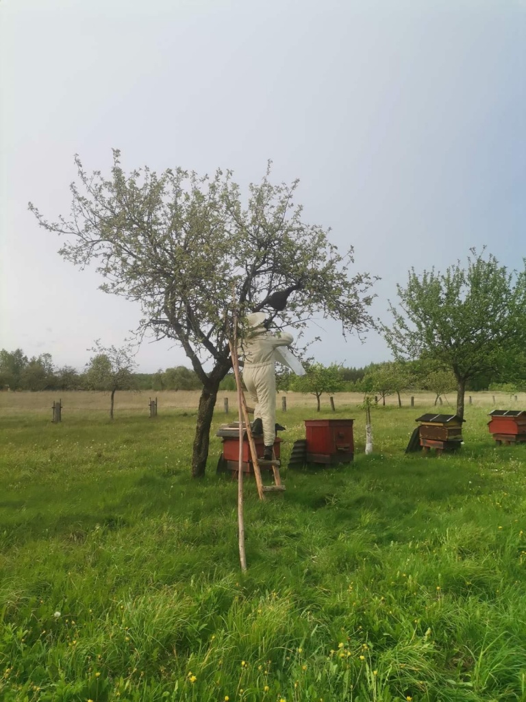 изображение_viber_2025-05-22_14-54-59-705.jpg изображение_viber_2025-05-22_14-54-59-705.jpg