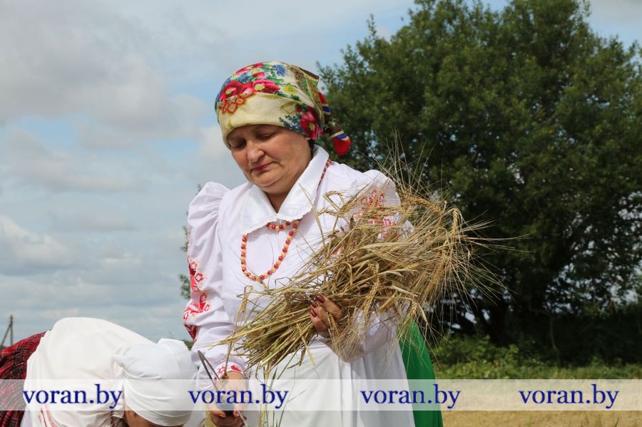 изображение_viber_2023-07-20_13-08-32-645.jpg изображение_viber_2023-07-20_13-08-32-645.jpg