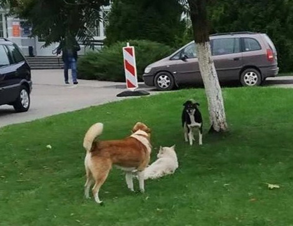 Screenshot_6.jpg Screenshot_6.jpg