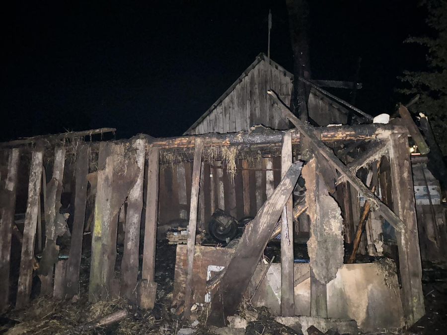 изображение_viber_2024-08-16_08-42-51-840.jpg изображение_viber_2024-08-16_08-42-51-840.jpg