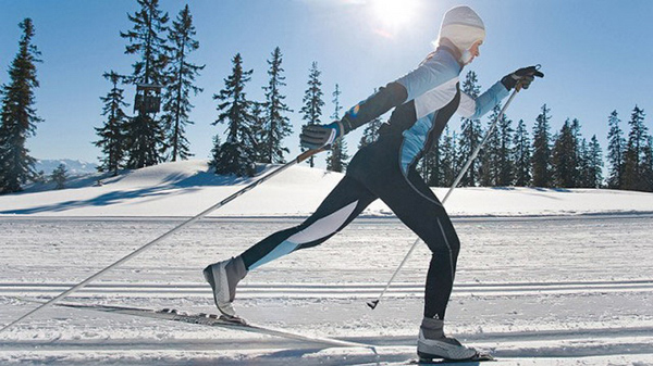 a419e3f425bc12b5867f555b02fd811b