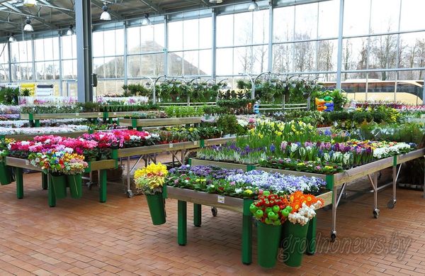 25de698cf22166408c4a79174b0e4540