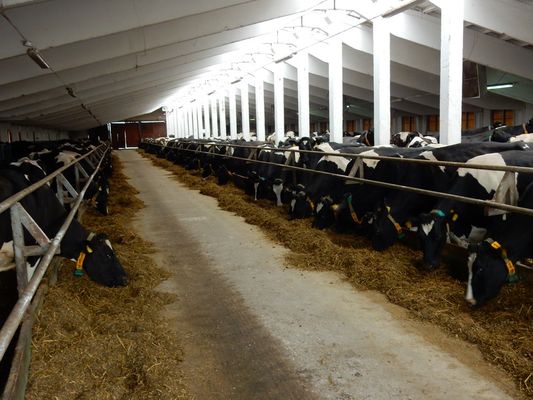 a2fb43a91adc37acccacf37bf930cb97