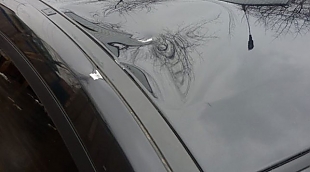 107a1442566e4eb07c2a3541989254f7-310xauto