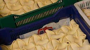 b54ce088d1f0a71ee1a328667ac4922a-310xauto