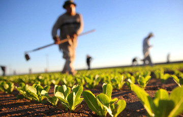 aux-head-1513415519-pole_360