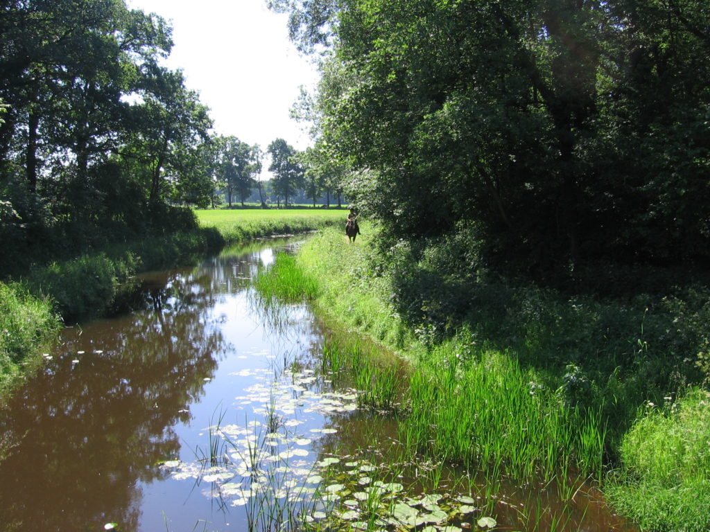 70a72cec12a4c5a395826d71be891e29