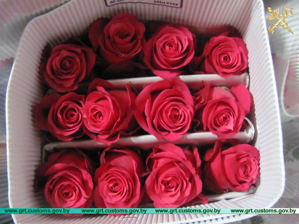 b1f6ac1b8916d1220aa9a60a3d049fda