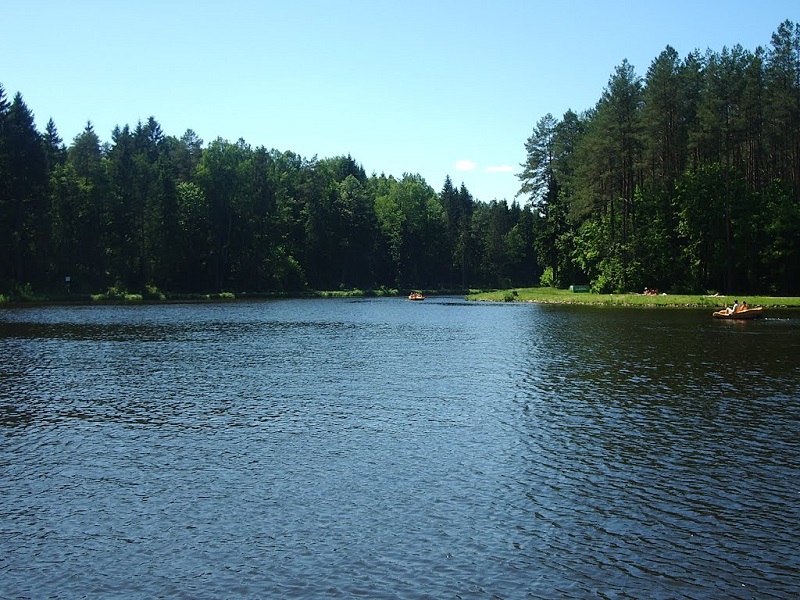 e6f4d7487e407f2850fb10bb38e8184a