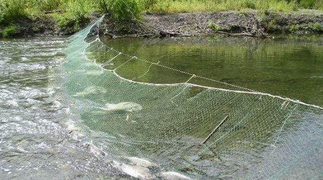 ecf535600d982758c2dd7063098f89a2