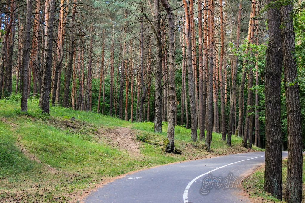 b1bec5e1e96ff35a6bf1f7e797b500d7