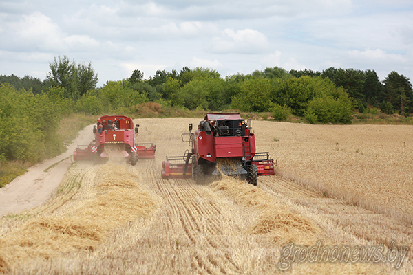 3fd43a292761857b3787503cbd7bdbaa