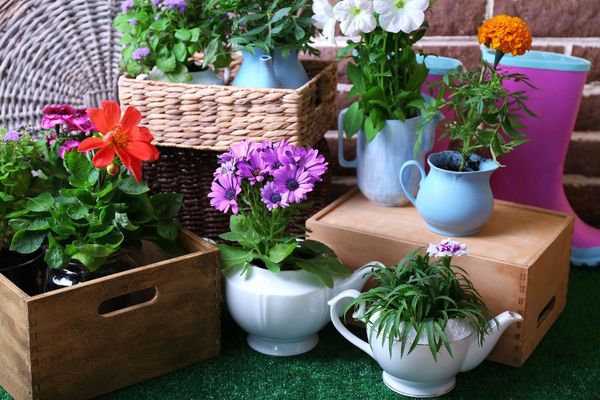 Flowers in decorative pots and garden tools on green grass, on bricks background