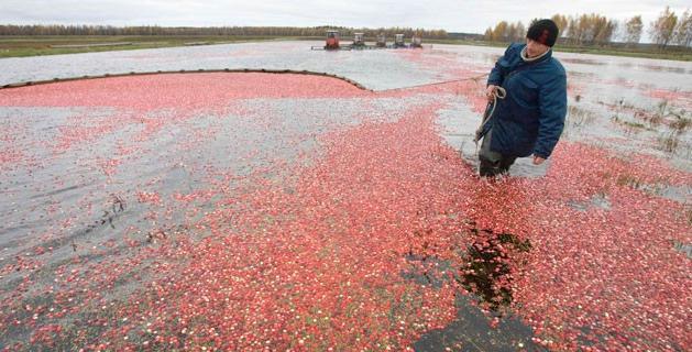 fc62475f3126c8c3ffa806f8f0552799