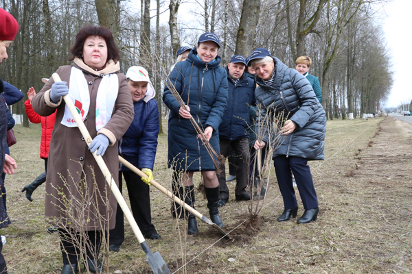 погода вороново гродненская область на две недели. вороново (гродненская область). украинская область город вороново. вороново (гродненская область). вороново беларусь.