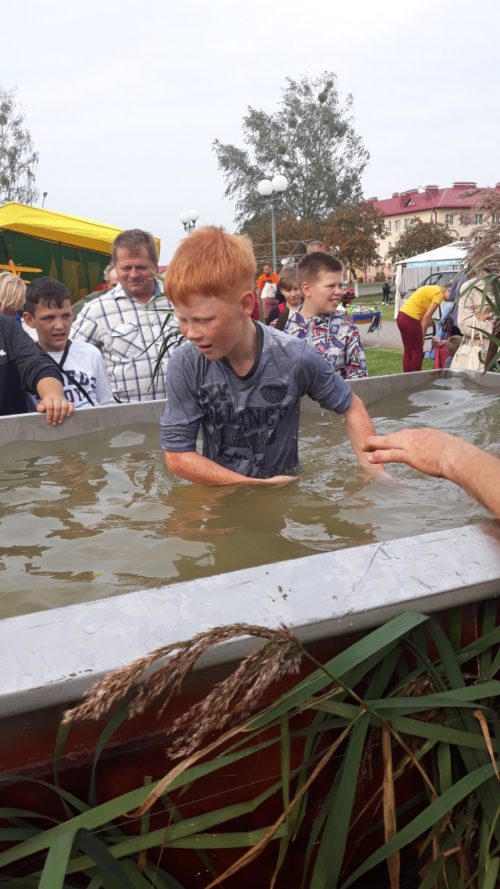 0-02-04-456b7e3b4a8a5241d5b1d390a01c9253971899eae45d3124aa053e7758641fb9_b28f0281