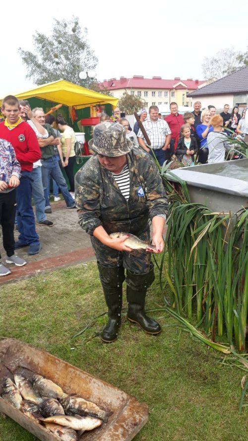 0-02-04-4c17d1d6b13e0288315b86fe2ddc41f5da9343e8a37abeaa05fbd428ac1a0c26_f0d9b7a5