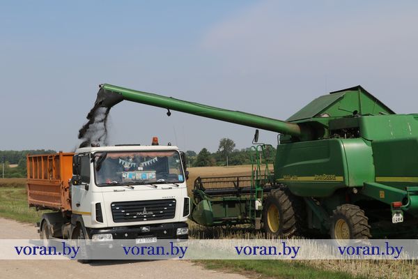 1C9A0568