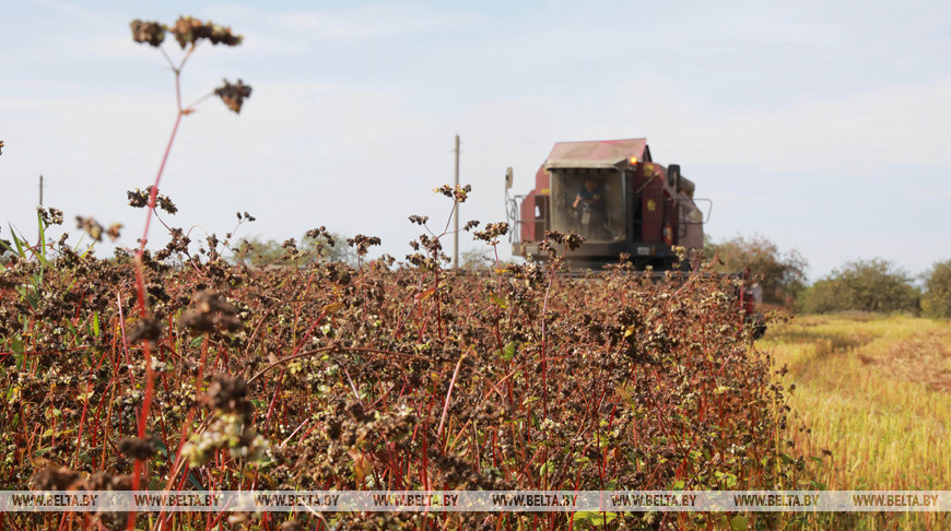 000019_1585898206_385763_big