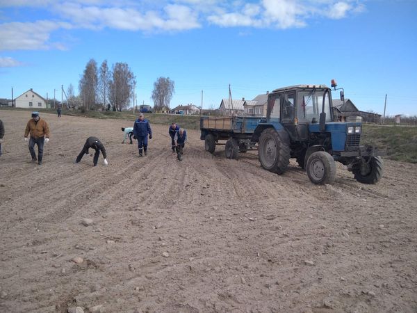 изображение_viber_2020-04-23_10-06-18